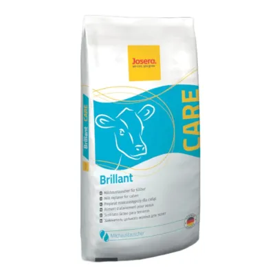 BRILLANT – 25 kg