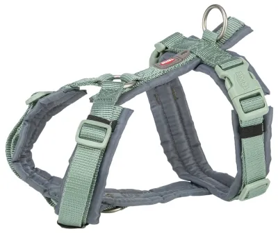Premium trekingovy postroj, salviagrafit