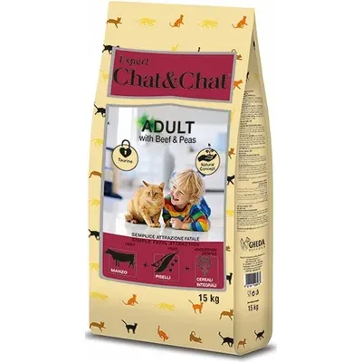 CHAT&CHAT