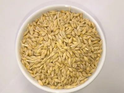 Jačmeň – 25 kg