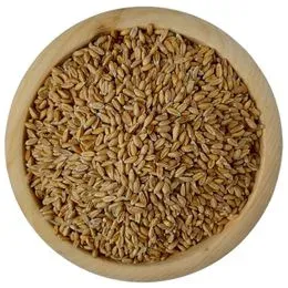 Pšenica – 25 kg