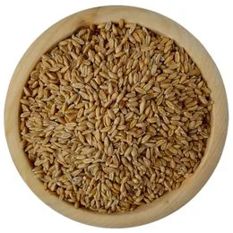 Pšenica – 25 kg
