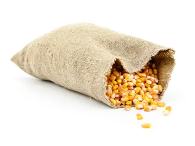 Kukurica – 25 kg