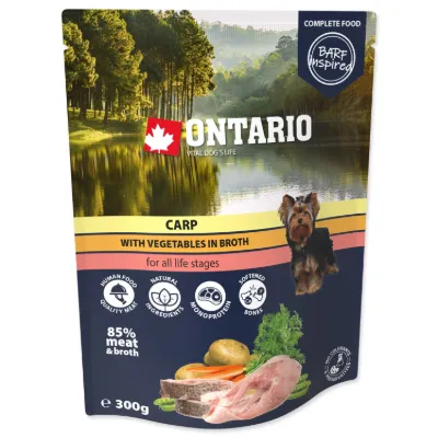 Kapsička Ontario kapor so zeleninou vo vývare 300g